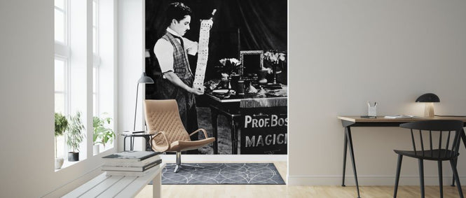 PHOTOWALL / Circus - Infographics (e322124)