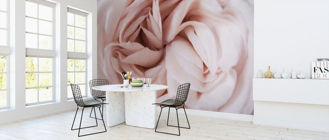PHOTOWALL / Beautiful Petals (e323311)