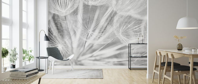 PHOTOWALL / Dand Black and White (e323354)