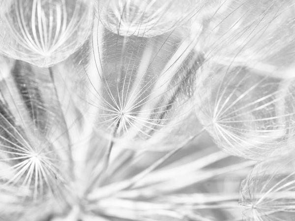 PHOTOWALL / Dand Black and White (e323354)