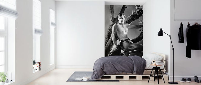 PHOTOWALL / Tarzan the Ape Man - Infographics (e322196)