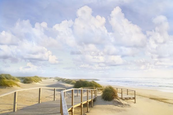 PHOTOWALL / Beach Boardwalk (e323258)