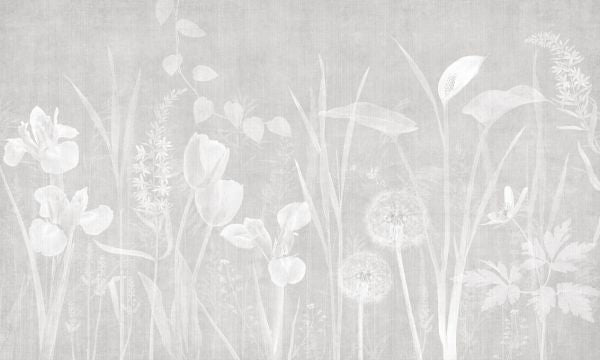 PHOTOWALL / Dandelion Field - Ash Bright (e325243)