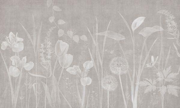 PHOTOWALL / Dandelion Field - Ash Hazel (e325244)