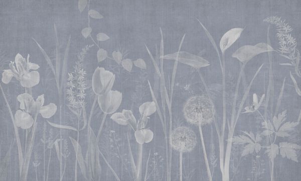 PHOTOWALL / Dandelion Field - Blue (e325245)