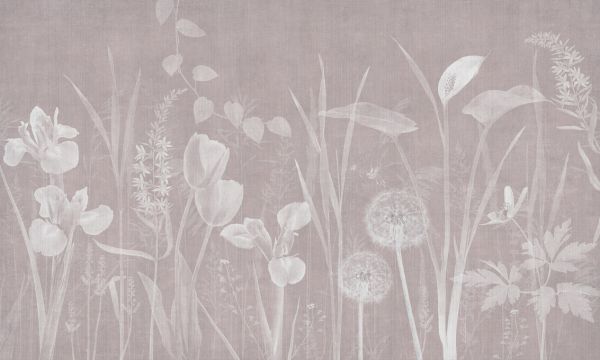 PHOTOWALL / Dandelion Field - Plum (e325247)