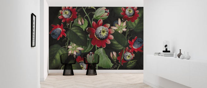 PHOTOWALL / Passiflora (e325263)