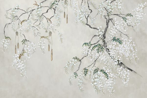 PHOTOWALL / Blossom Wisteria II (e325511)