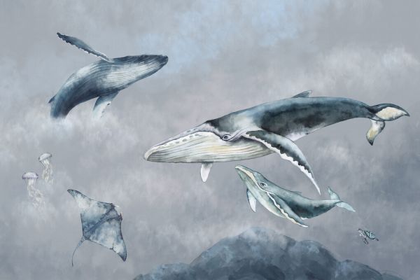 PHOTOWALL / Whale Friends (e325523)