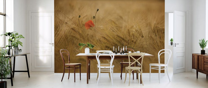 PHOTOWALL / Ephemeral (e323620)