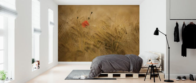 PHOTOWALL / Ephemeral (e323620)