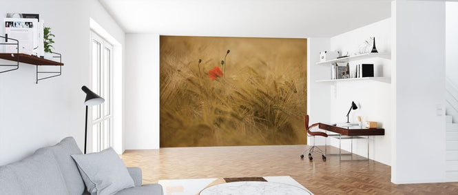 PHOTOWALL / Ephemeral (e323620)