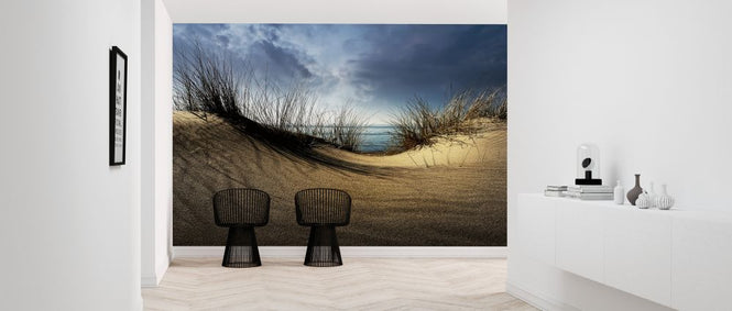 PHOTOWALL / Dunes (e323629)