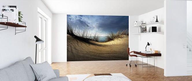 PHOTOWALL / Dunes (e323629)