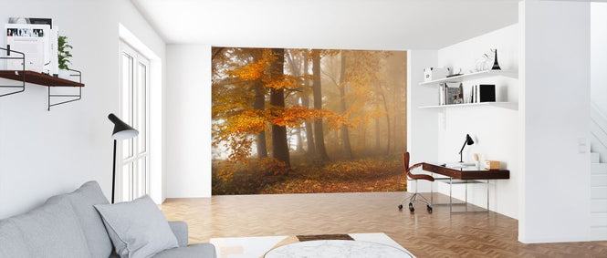 PHOTOWALL / Edge of the Woods (e323633)