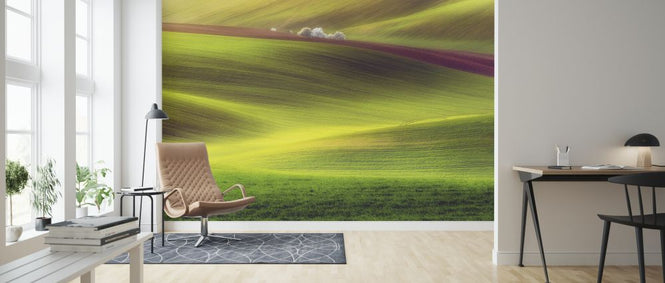 PHOTOWALL / Golden Fields (e323638)