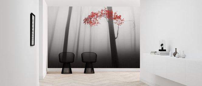 PHOTOWALL / Illusion (e323654)