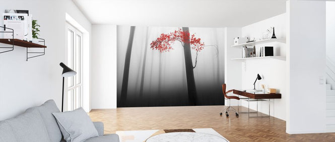 PHOTOWALL / Illusion (e323654)