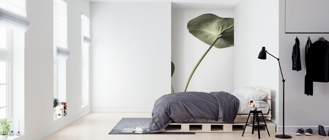 PHOTOWALL / Long Stem (e323462)