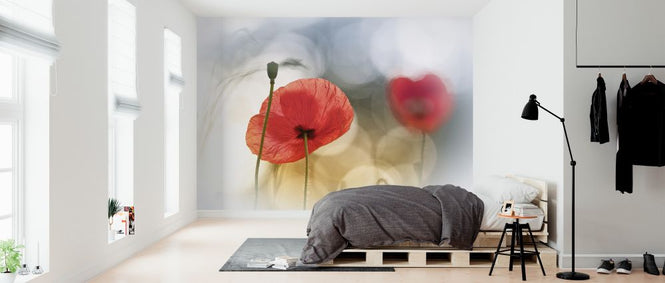 PHOTOWALL / Morning Poppies (e323660)
