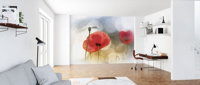PHOTOWALL / Morning Poppies (e323660)