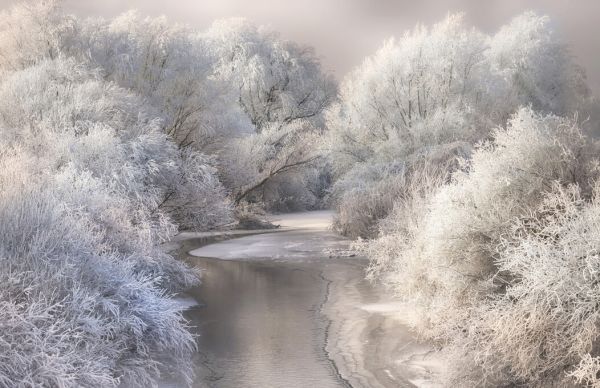 PHOTOWALL / Winter Song (e323662)