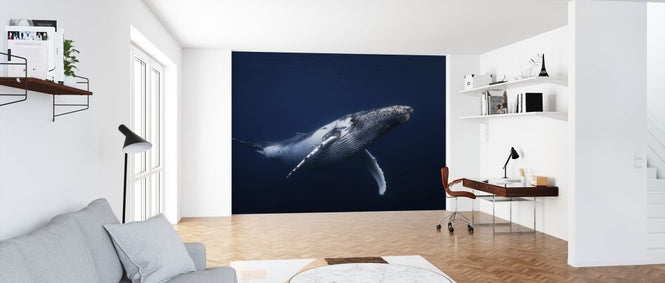 PHOTOWALL / Humpback Whale in Blue (e323674)