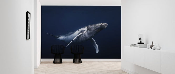 PHOTOWALL / Humpback Whale in Blue (e323674)