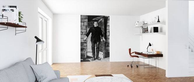 PHOTOWALL / Frankenstein Frankenstein - Infographics (e322269)
