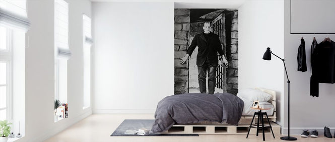 PHOTOWALL / Frankenstein Frankenstein - Infographics (e322269)