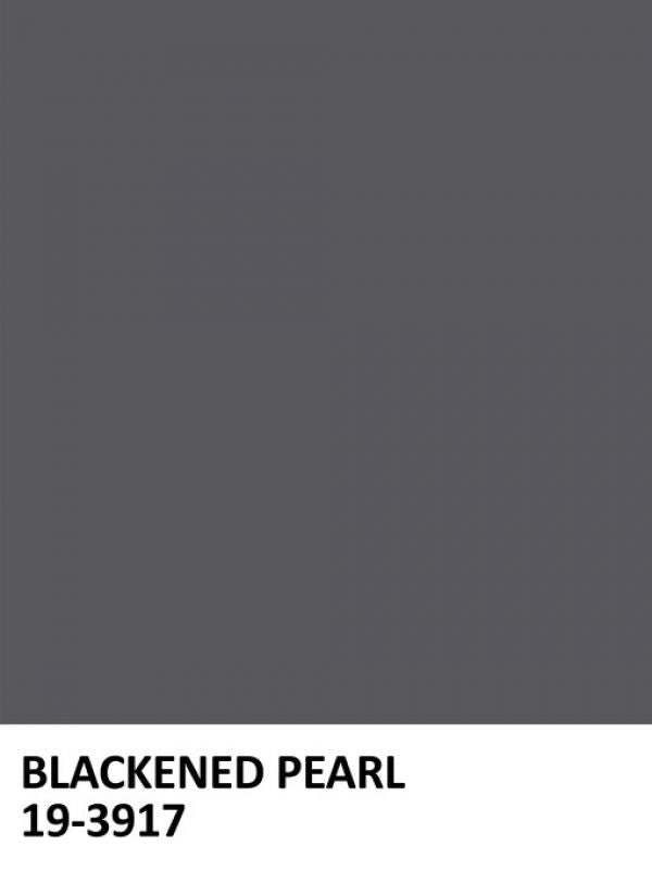PHOTOWALL / Paint Blackened Pearl (e323494)