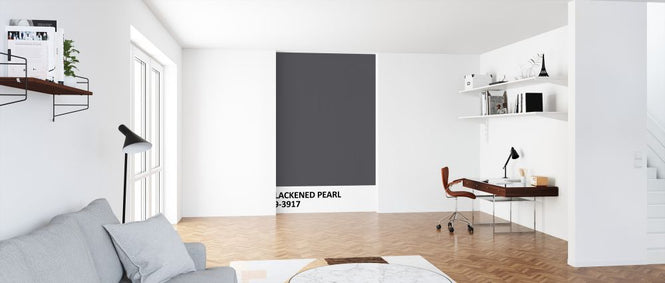 PHOTOWALL / Paint Blackened Pearl (e323494)