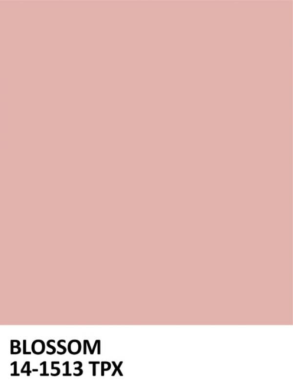 PHOTOWALL / Paint Blossom (e323495)