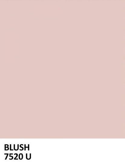 PHOTOWALL / Paint Blush (e323496)