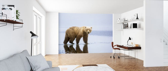 PHOTOWALL / Bear Walk (e323732)