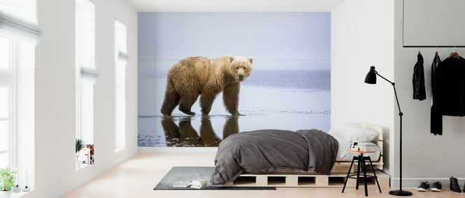PHOTOWALL / Bear Walk (e323732)