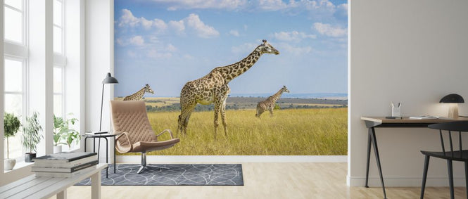 PHOTOWALL / Trio Giraffes (e323735)