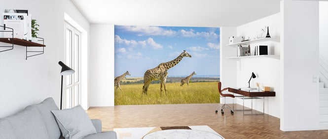 PHOTOWALL / Trio Giraffes (e323735)