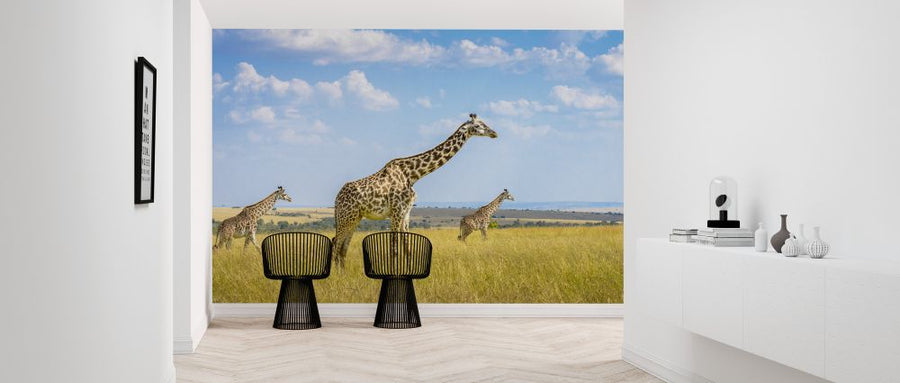 PHOTOWALL / Trio Giraffes (e323735)