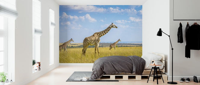 PHOTOWALL / Trio Giraffes (e323735)