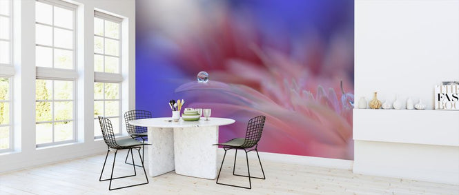 PHOTOWALL / Colorful Explosion (e323747)