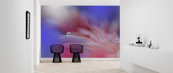 PHOTOWALL / Colorful Explosion (e323747)