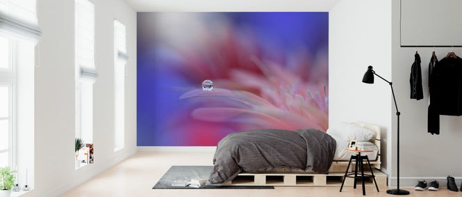 PHOTOWALL / Colorful Explosion (e323747)