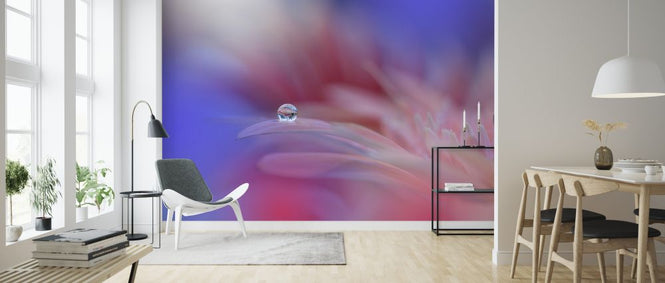 PHOTOWALL / Colorful Explosion (e323747)