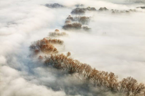 PHOTOWALL / Foggy Valley (e323750)