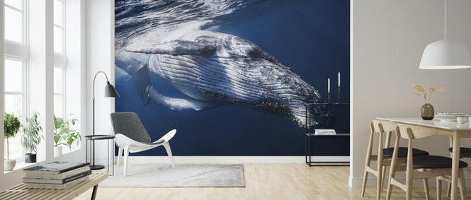 PHOTOWALL / Whale (e323756)
