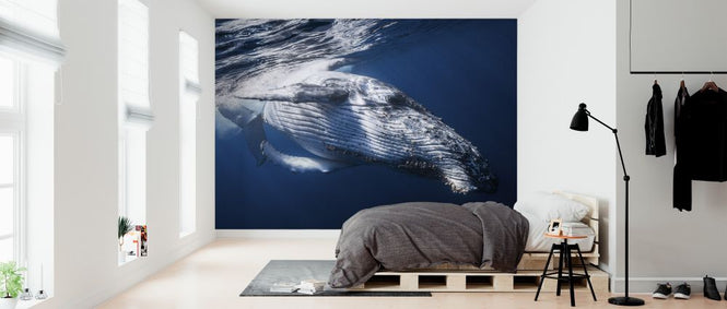PHOTOWALL / Whale (e323756)