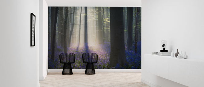 PHOTOWALL / Velvet Light (e323761)