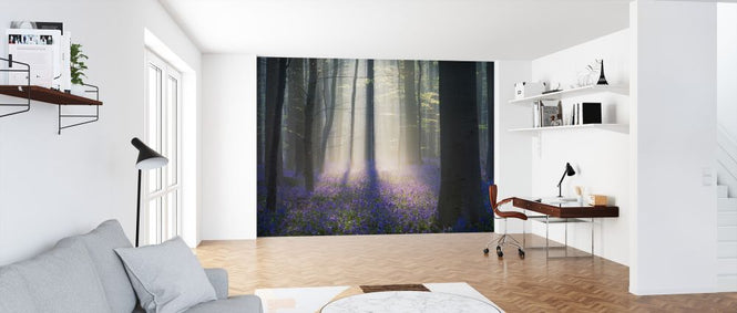 PHOTOWALL / Velvet Light (e323761)