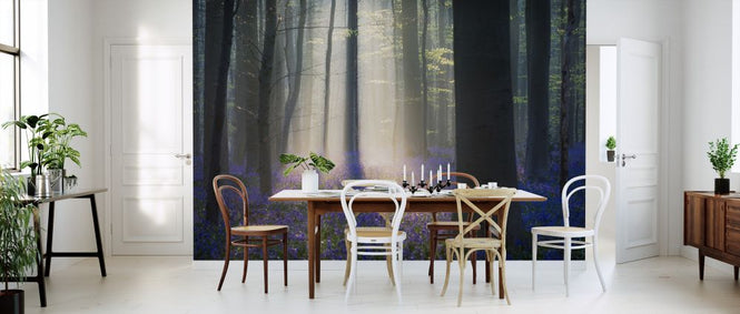 PHOTOWALL / Velvet Light (e323761)